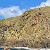 A dog has been rescued after falling from a cliff on Orkney. Photo:  Longhope RNLI
