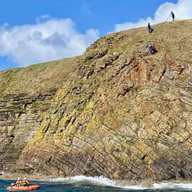 A dog has been rescued after falling from a cliff on Orkney. Photo:  Longhope RNLI