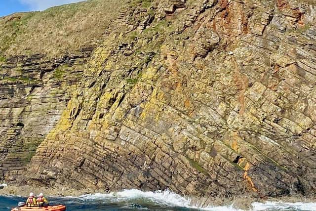 A dog has been rescued after falling from a cliff on Orkney. Photo:  Longhope RNLI
