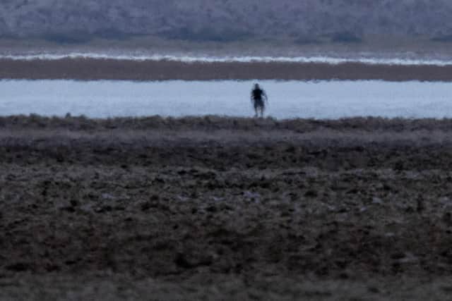Political mirages can be just as dangerous as those that lead travellers astray in the desert (Picture: David McNew/Getty Images)