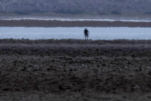 Political mirages can be just as dangerous as those that lead travellers astray in the desert (Picture: David McNew/Getty Images)