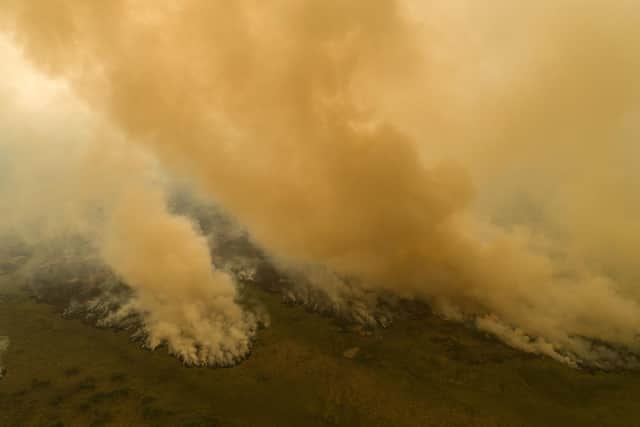 Fires ravage an area next to the Trans-Pantanal highway in the Pantanal wetlands near Pocone, in Brazil's Mato Grosso state in September 2020. Photo: Andre Penner/AP