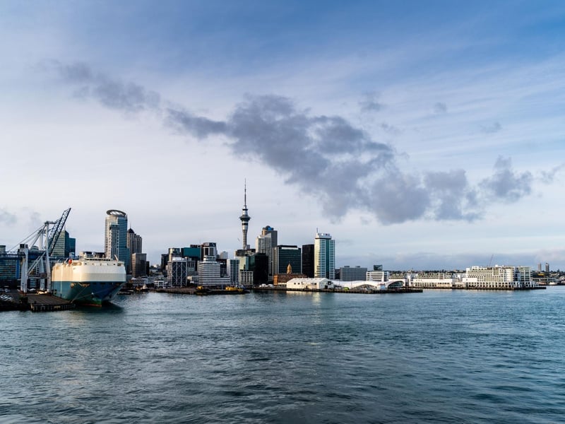 New Zealand just misses out on top spot, with the most vets per million population of anywhere in the world.