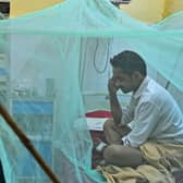 A patient rests under a mosquito net at the dengue ward of a hospital in Allahabad, India. This 'tropical' disease can now be found in southern Europe (Picture: Sanjay Kanojia/AFP via Getty Images)