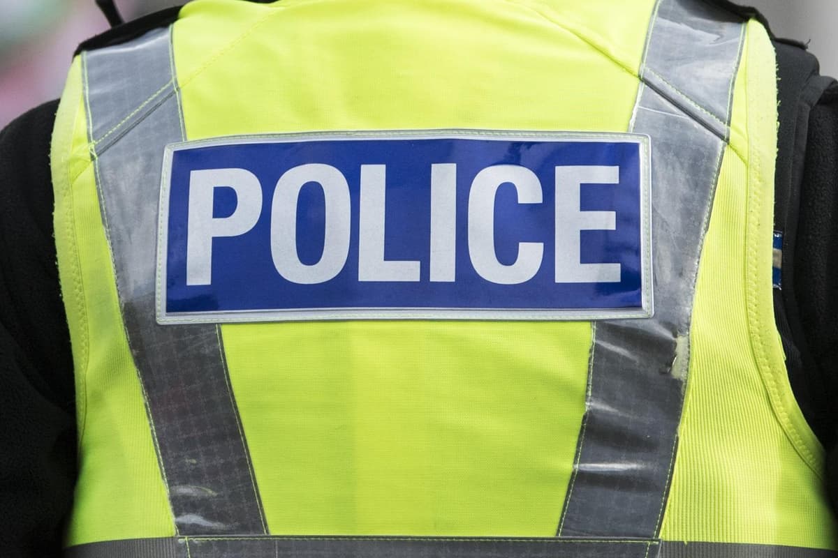 Livestock worrying: Lamb killed and three others missing after livestock ...