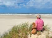 Certain breeds of dog make great companions for the more elderly owner.