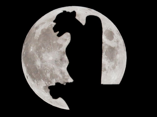The Hunter's Moon rises behind a gargoyle of the cathedral Notre-Dame de Paris