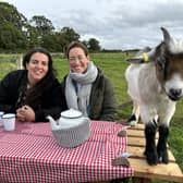 Scotland's Greatest Escape, Budget Friendly, ep 3, Zakia Moulaoui Guery and Fiona Campbell having picnic with a pygmy goat at The Bus Stop, East Lothian. A unique self-catering experience, The Bus Stop has a range of vintage buses all transformed into cosy, comfortable lodges with modern amenities whilst retaining their nostalgic appeal. Pic: Red Sky Productions/BBC scotland
