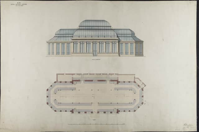 Architectural plan of the New Palm House at the Royal Botanic Gardens, Edinburgh, with this style of building allowing for the mass cultivation of pineapples in Scotland. Crown copyright. National Records of Scotland, RHP6521/19