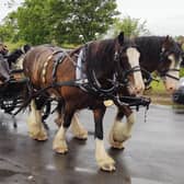 Jamie Alcock began the trip with his horses, Willam and Millie, and Boo Boo Beithe the farm dog on June 5.