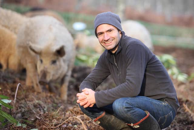 Co-founder Jim Mann, an ecologist, long-distance runner and entrepreneur, with some of the woolly pigs which will provide natural undergrowth control and manure-spreading services