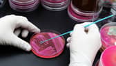 Antibiotic resistance is a real problem for science.