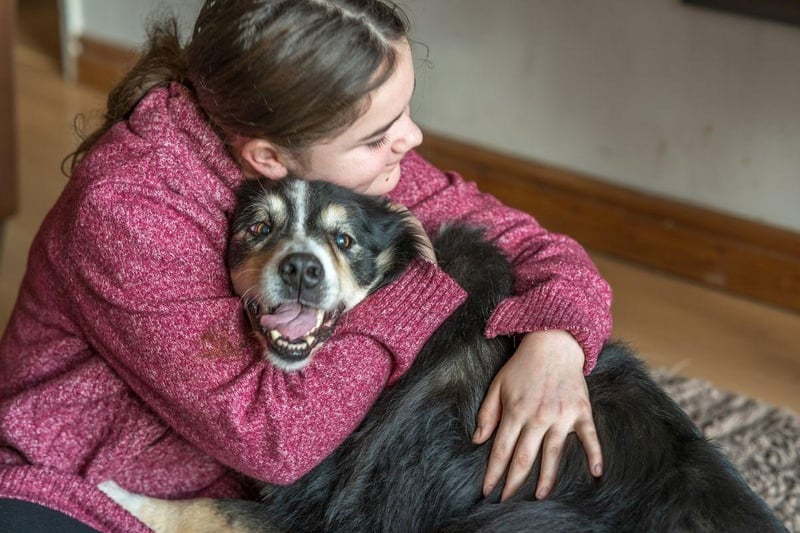 Considering that the intelligent Border Collie has been bred to work incredibly closely with their owner to herd sheep, it's perhaps no surprised that the relationship can be pretty intense from the dog's point of view. Time apart from their owner can lead to this breed becoming destructive.