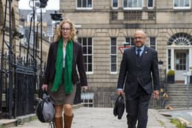 The Scottish Greens have been accused of abandoning policies since entering government.