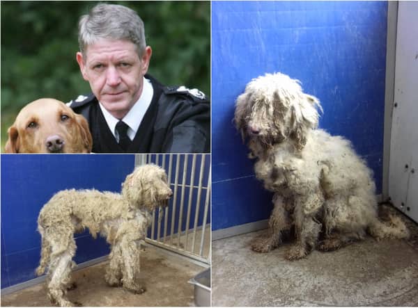 Scottish SPCA chief superintendant Mike Flynn had never seen anything as bad as the case in Jedburgh at the weekend. Pictures: SSPCA