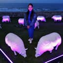 Illuminated sheep art work at Bamburgh with artist Deepa Mann-Kler
 (photo: Raoul Dixon)