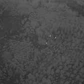 Footage taken by drones using thermal-imaging technology can pinpoint individual deer and even indicate their species and sex, helping land managers to target culling activities. Picture: FLS