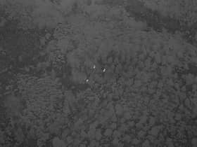 Footage taken by drones using thermal-imaging technology can pinpoint individual deer and even indicate their species and sex, helping land managers to target culling activities. Picture: FLS