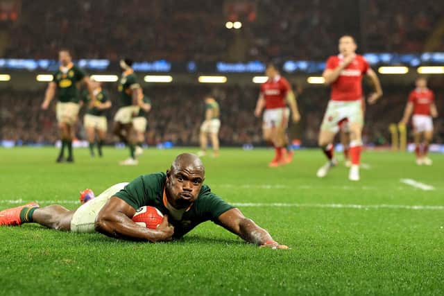 South Africa defeated Wales at the weekend but this try from Makazole Mapimpi was disallowed. (Photo by David Rogers/Getty Images)