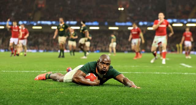 South Africa defeated Wales at the weekend but this try from Makazole Mapimpi was disallowed. (Photo by David Rogers/Getty Images)