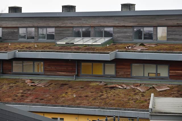 Damage was caused to Maddiston Primary's roof on January 24. Pic: Michael Gillen