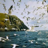 The remote St Kilda archipelago, now officially uninhabited by humans, is the only UN World Heritage Site in the UK to be designated for both is natural and cultural importance