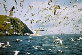 The remote St Kilda archipelago, now officially uninhabited by humans, is the only UN World Heritage Site in the UK to be designated for both is natural and cultural importance