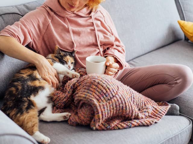 Keeping warm on the couch.