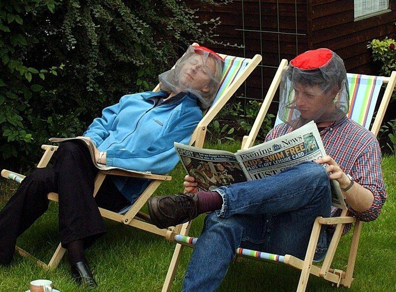 One of the few things to guarantee to deter the midge is a breezy day - they are much less active when there are wind speeds of over 6mph. They also tend to stay away when the humidity is below 60 per cent.