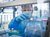 Scotland has recorded five deaths of coronavirus patients in the past 24 hours and 3,799 new cases, according to the latest data.