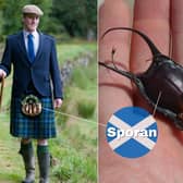 The Sporran is a traditional part of Scottish Highland dress that essentially acts as a pocket when wearing a kilt. The word is rooted in the Gaelic “sporan” which means purse. Marine creatures like sharks and rays produce eggs which have a tough protective casing known as a mermaid’s purse as it can be written in Gaelic; sporan-bìgis.