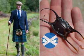 The Sporran is a traditional part of Scottish Highland dress that essentially acts as a pocket when wearing a kilt. The word is rooted in the Gaelic “sporan” which means purse. Marine creatures like sharks and rays produce eggs which have a tough protective casing known as a mermaid’s purse as it can be written in Gaelic; sporan-bìgis.