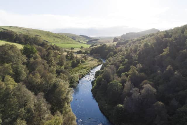 Highlands Rewilding is selling shares in its Beldorney and Bunloit estates, with a mission to restore the landscape, reverse loss of nature and help tackle climate change