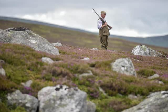 Estate owner Hugh Niven is proposing to plant around one million trees and build 30km of road and track to support the new forestry in Glen Clova. PIC: SWNS.