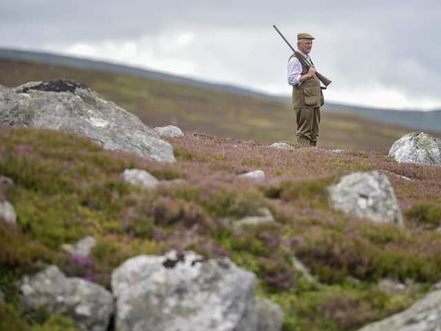 Estate owner Hugh Niven is proposing to plant around one million trees and build 30km of road and track to support the new forestry in Glen Clova. PIC: SWNS.