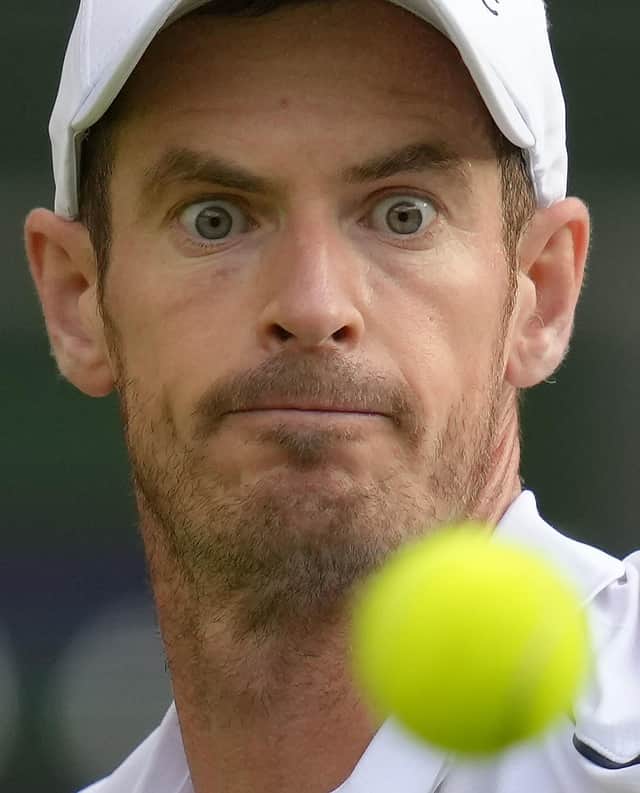 Andy Murray in full-on concentration mode in his win over Australia's James Duckworth