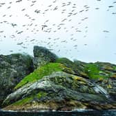 The National Trust for Scotland has identified six important habitats to get special conservation attention on the 76,000 hectares of Scotland’s countryside it manages – sites include islands such as St Kilda as well as coastlines, mountains and forests
