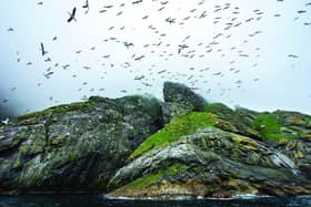 The National Trust for Scotland has identified six important habitats to get special conservation attention on the 76,000 hectares of Scotland’s countryside it manages – sites include islands such as St Kilda as well as coastlines, mountains and forests