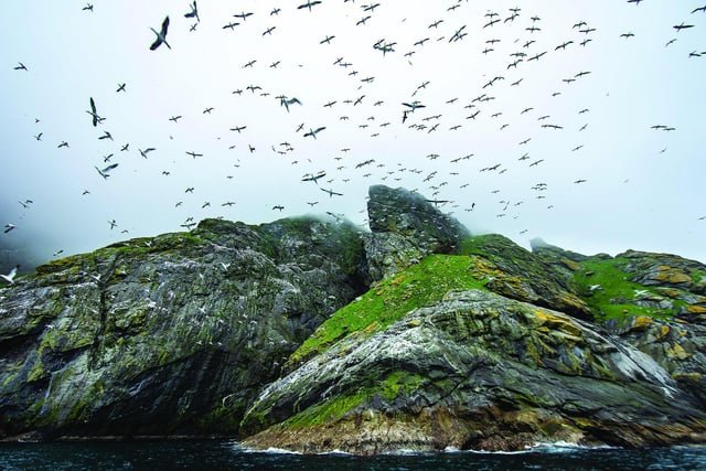 The National Trust for Scotland has identified six important habitats to get special conservation attention on the 76,000 hectares of Scotland’s countryside it manages – sites include islands such as St Kilda as well as coastlines, mountains and forests