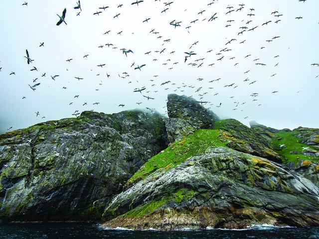 The National Trust for Scotland has identified six important habitats to get special conservation attention on the 76,000 hectares of Scotland’s countryside it manages – sites include islands such as St Kilda as well as coastlines, mountains and forests