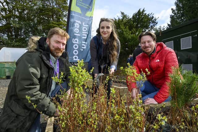 Royal Bank Volunteers and The Conservation Volunteers at Gogarburn Tree Nursery