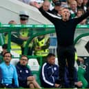 Tony Docherty reacts during Dundee's 3-0 defeat by Celtic.