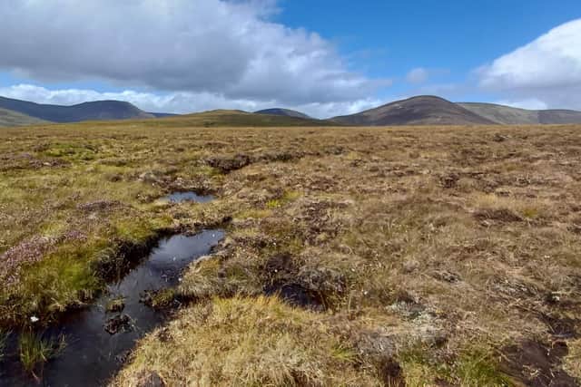 Durrell Wildlife Conservation Trust begins first major phase of rewilding project at Dalnacardoch Estate