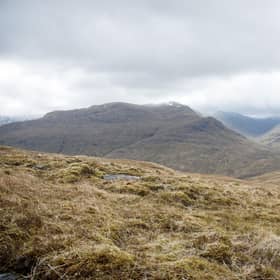Experts have warned anyone wishing to go hiking in the Scottish countryside should wear long sleeve tops and trousers to reduce the risk of being bitten by an infected tick (Anke Scherzer/Getty Images)