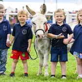 Four year-old pupils from Apple Tree Nursery in Argyll & Bute, Brogan Laurie, Neil George-McKirdy, Zander Simpson and Ava Wilson, travelled by boat and bus to present Miniature Mediterranean Donkey, Doris, with her First place rosette. After receiving a £400 donation from the Argyll & Bute Agricultural Committee, the pupils formed their own agricultural committee and decided to use the money to attend the Royal Highland Show. (Pic: Ian Georgeson)