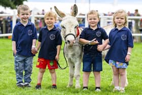 Four year-old pupils from Apple Tree Nursery in Argyll & Bute, Brogan Laurie, Neil George-McKirdy, Zander Simpson and Ava Wilson, travelled by boat and bus to present Miniature Mediterranean Donkey, Doris, with her First place rosette. After receiving a £400 donation from the Argyll & Bute Agricultural Committee, the pupils formed their own agricultural committee and decided to use the money to attend the Royal Highland Show. (Pic: Ian Georgeson)