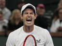 Andy Murray celebrates after defeating Tomas Martin Etcheverry at the BNP Paribas Open in Indian Wells.