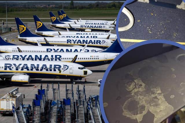 Pictures show the alleged mess onboard the Ryanair flight