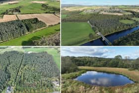 The Drum Estate Woodlands are now up for sale.