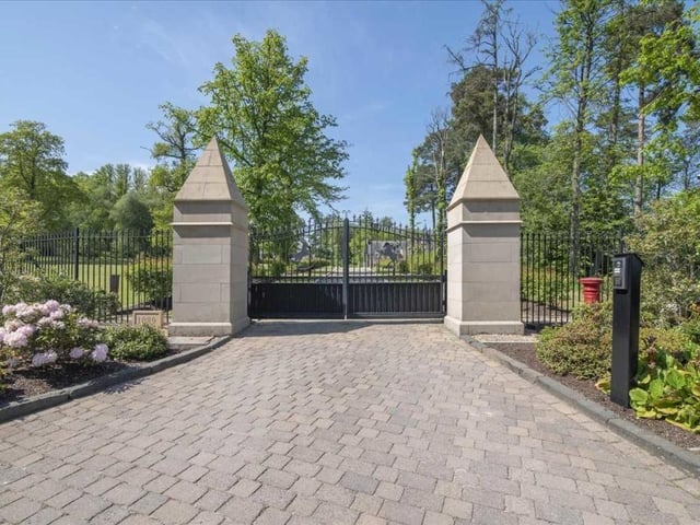 Electric entrance gates.